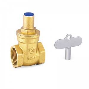 Manufacturer of Heating Manifold Pump And Mixing Valve Control Pack - GATE VALVES-S7003 – Shangyi