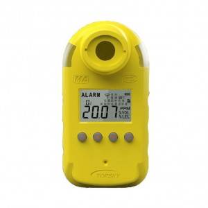 H2S Detector CLH100