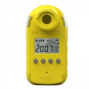CTL1000-100 CO&H2S multi gas detector