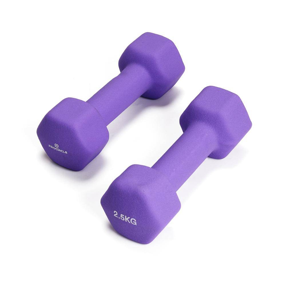 Wholesale Colorful Vinyl Neoprene Coated Weight Lifting Rubber Dumbbell