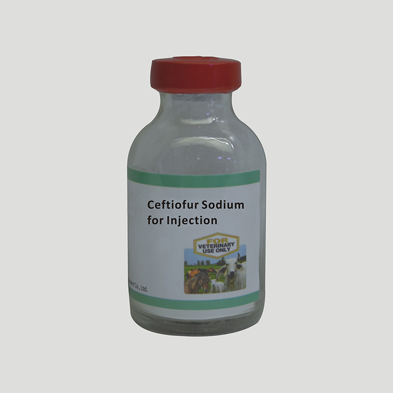 Ceftiofur Sodium for Injection Featured Image