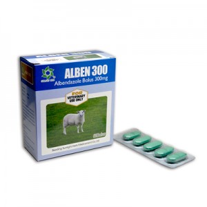 Albendazole Tablet 300mg