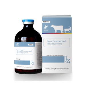 Iron Dextran and B12 Injection