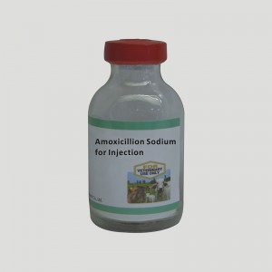 Amoxicillion Sodium for Injection