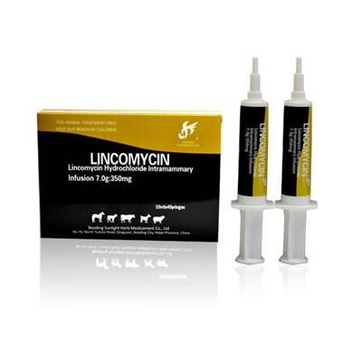 Lincomycin HCL Intramammary Infusion( Lactating  Cow) Featured Image