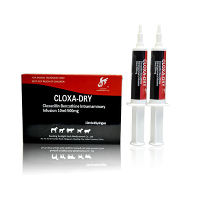 Cloxacillin Benzathine Intramammary Infusion( Dry Cow) Featured Image