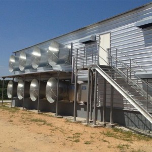 low cost prefabricated steel structure house goat shed poultry farm design