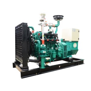 Product Specifications For 30 KW Natural Gas / Biogas Generator