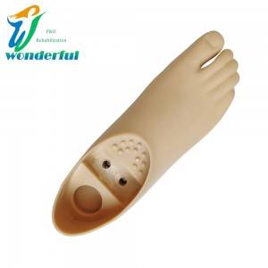 Prosthetic Double Axis Foot