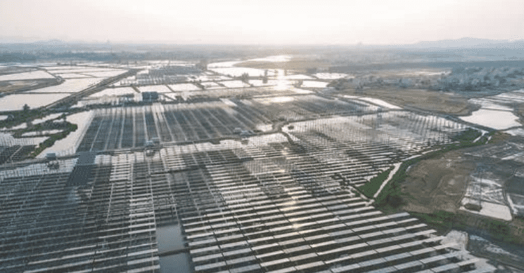 Hubei Fishing light complementary photovoltaic farms
