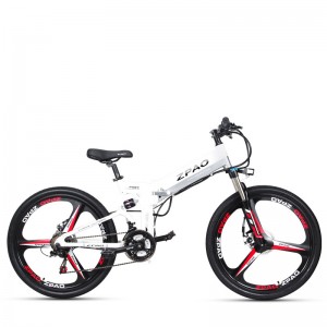 Cheap motorized bicycle – EMB101