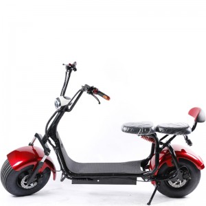 Electric scooter  – ES101
