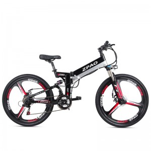 Cheap motorized bicycle – EMB101
