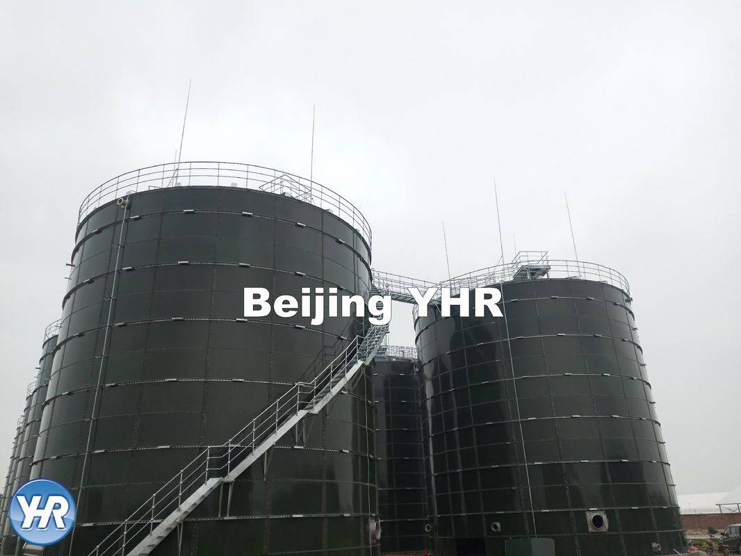 Cow Dung Wastewater Treatment Reactors Biogas Digester Convenient Installation