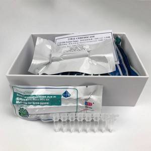 Novel Coronavirus (SARS-CoV-2) Multiplex Real-Time PCR Kit