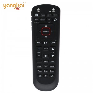 DISH Replacement Google Assistant Voice Control Remote 52.0 52.1
