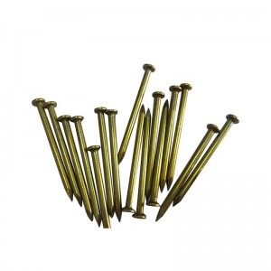 Specialized factory produce yellow zinc  steel nail  form china