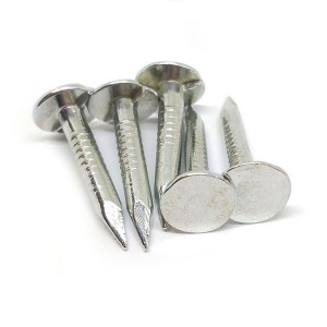 China factory supply galvanized clout nail with cheap price