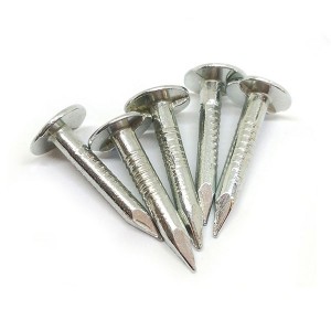 China factory supply galvanized clout nail with cheap price