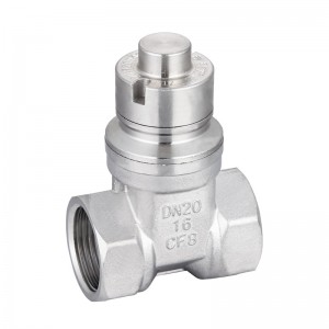 ZF8002 DN20 Stainless Steel female thread magnetic gate valve DN20 OEM
