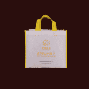 Shopping Carry Fabric Laminated Recyclable PP Non Woven Shopping Bag
