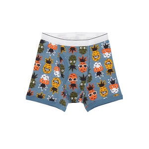China Underwear Teen Boys Briefs Factories - Boxer Shorts Underwear Boy Underwear Models Child Shorts  Boys Comfortable Boxers super soft and stretchy Underwear   – Toptex