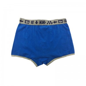 factory low price Man On Underwear - Seamless SX – XXXXL Custom Waist Band Elastic Mens Sport Boxer Briefs  – baishiqing