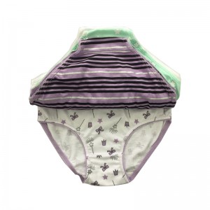New Arrival China Shiny Panties - Comfortable Elastic Edging Eco Friendly Quick Dry Kids Girls Underwear  – baishiqing