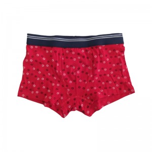 OEM/ODM Supplier Fenty Underwear - Custom Color Anti Static Soft Cotton Breathable Gay Men Underwear – baishiqing
