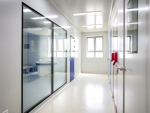 electric driven clean room window with fog effect