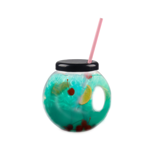 plastic fish bowl with lid
