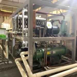 Контейнеровочна машина для прямого охолодження для виготовлення льоду для харчових продуктів Пакистан