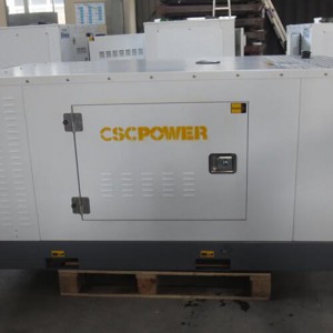 China wholesale Generators For Sale - with Yangdong engine-silent-10kw – CENTURY SEA