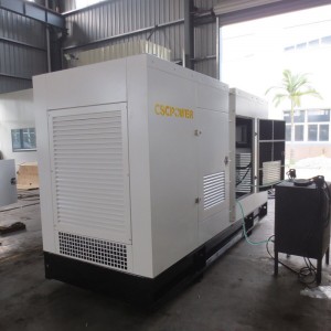 Professional China Diesel Generator - with Cummins engine-Silent-250kw – CENTURY SEA