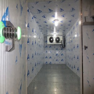 Remise en gros Chine -40′c ~ + 20′c Blast Cooling Room avec une haute qualité pour la cerise