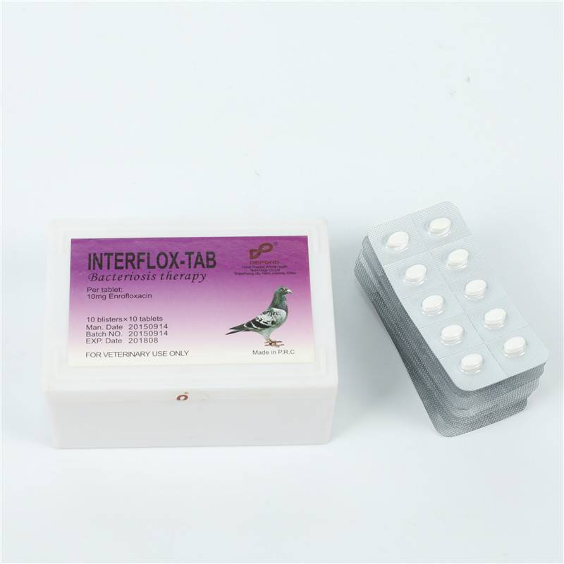 Enrofloxacin tablet-racing pigeon medicine
