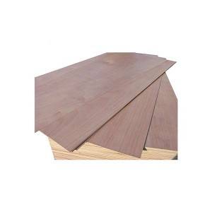 Edlon 3mm door size okoume bintangor veneer plywood for doors