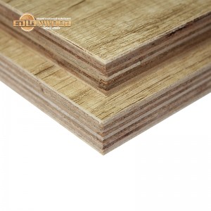 Edlon free samples 18mm poplar core E1 E2 wood grain furniture decoration melamine plywood sheet