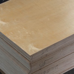 Edlon 4×8 9mm UV lacquered poplar plywood sheet