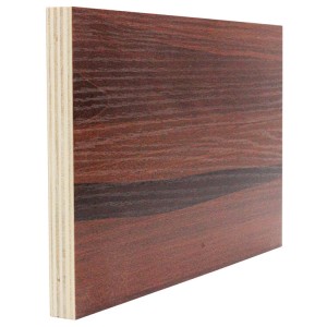 Edlon poplar maple birch melamine faced coated laminated plywood