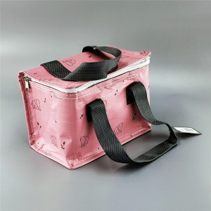 Hot-selling Disposable Cooler Bags - Cooler Bag cl19-01 – Ewin