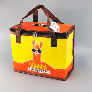 China Cheap price Lunch Cooler Bag - Cooler Bag CL19-03 – Ewin
