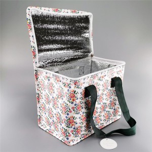 Renewable Design for Adult Lunch Bag - Cooler Bag cl19-02 – Ewin