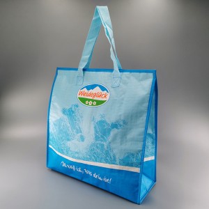 OEM/ODM Manufacturer Insulated Snack Bag - Cooler Bag cl19-08 – Ewin