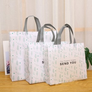 Ultrasonic biodegradable Laminated Non-woven Bags promotional shopping Custom printing