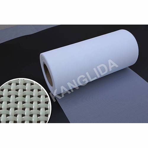 Fast delivery White Perforated Mesh - Non-Metal Filter – Kanglida