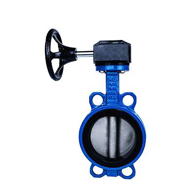 FN1-BV1W-2G (Wafer Butterfly Valve–Gear box Operation) Featured Image