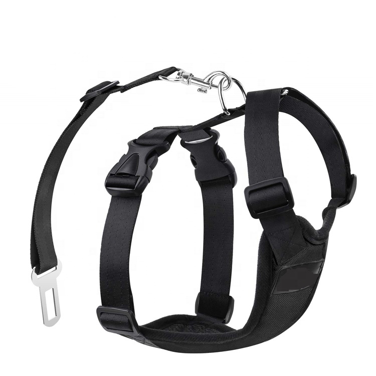 OEM/ODM Supplier Camera Lanyard - Retractable Safety Long Adjustable Heavy Duty Elastic Durable Private Label Dog Leash Climbing Rope – Bison