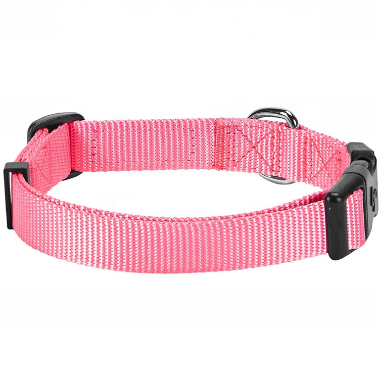Best Price for Double Lanyard - Dog Cone Tick Cotton Trainer Collar Remote Dog Training Collar – Bison