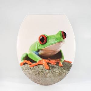 UF-P08 Duroplast Toilet Seat  Printed – Frog